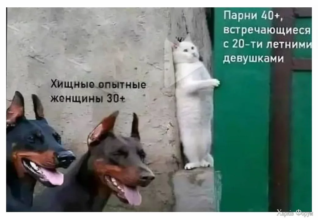 1724765771586.webp