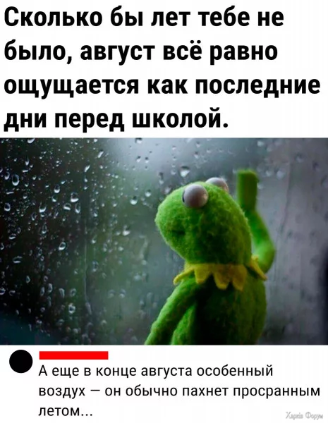 1724801622770.webp
