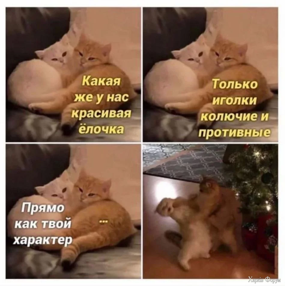 1724853225177.webp