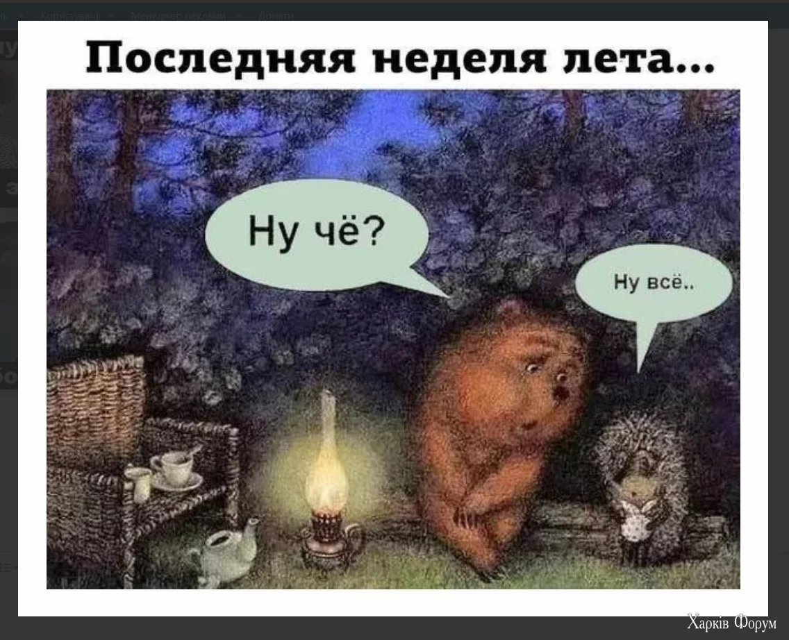 1724930717581.webp