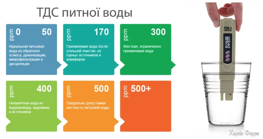 1724956387125.webp