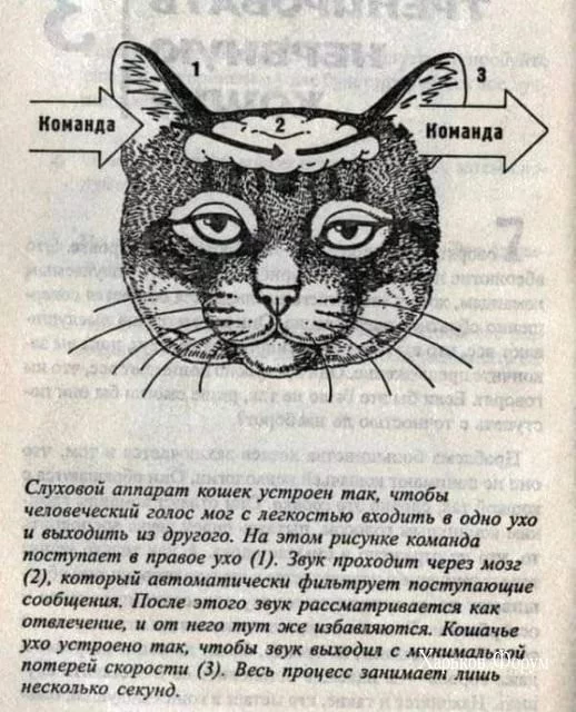 1724d3e4d4b101b0.webp