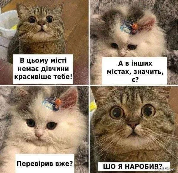 1725123269633.webp