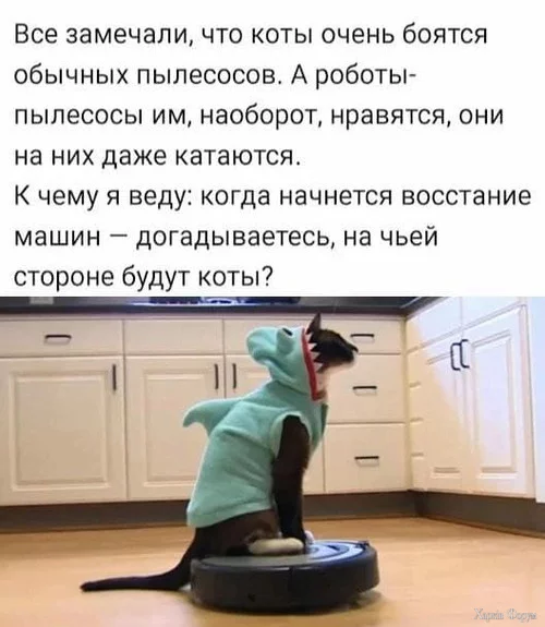 1725319557325.webp