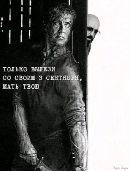 1725399013941.webp