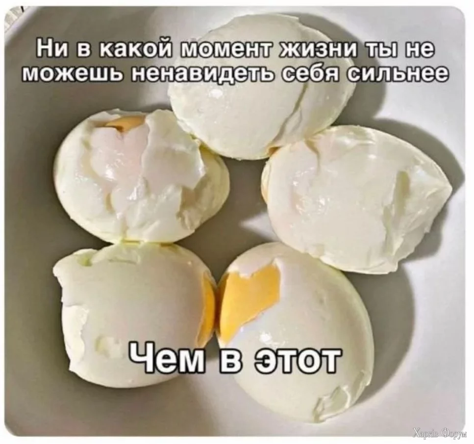 1725434267755.webp