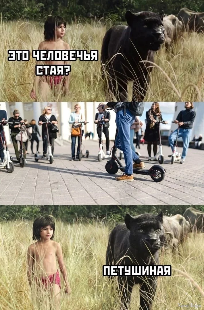 1725517442715.webp