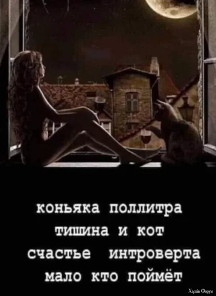 1725574779176.webp