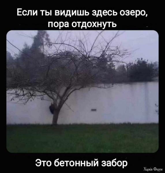 1725666526123.png