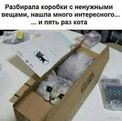 1725747018000.webp
