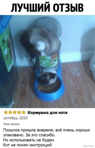 1725833823204.webp