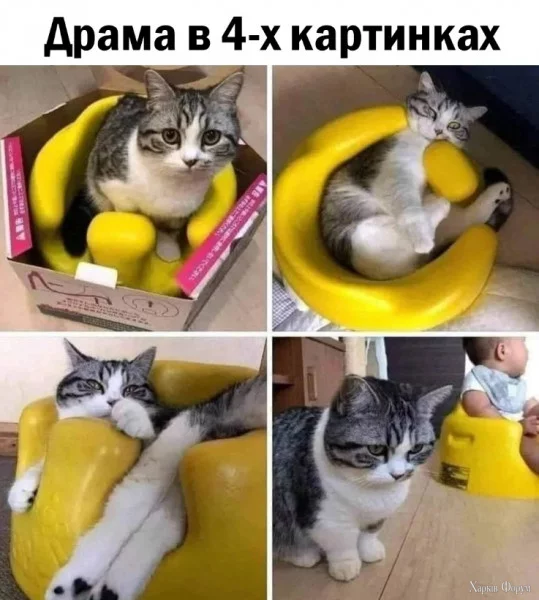 1725834205115.webp
