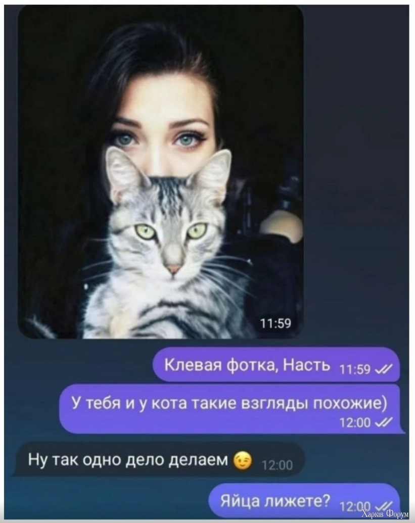 1725878443577.png
