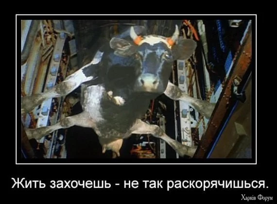 1726041551094.webp