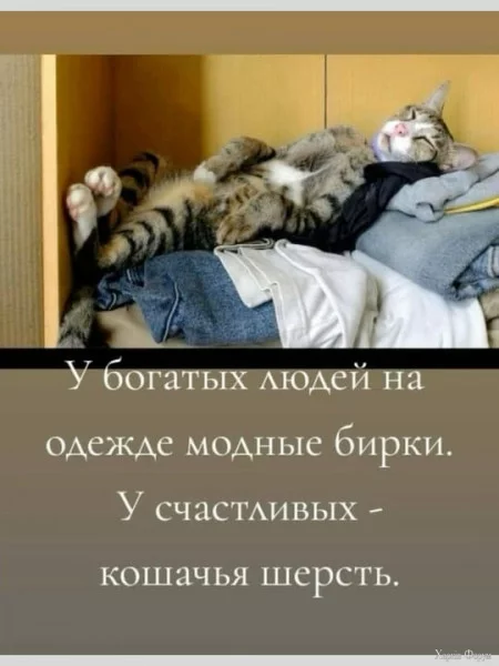 1726181568455.png