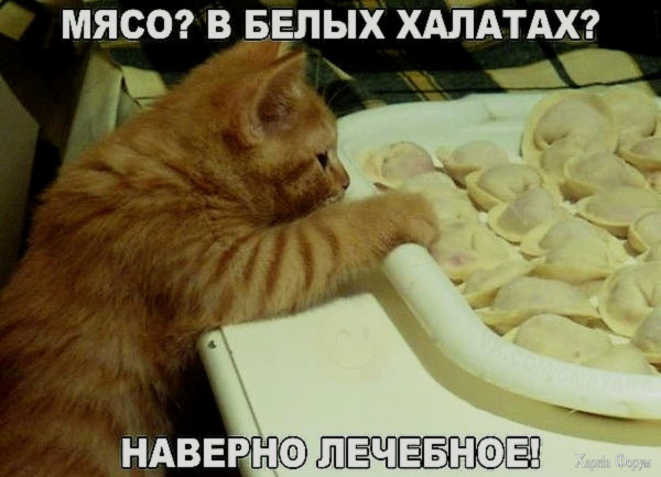 1726181733262.png