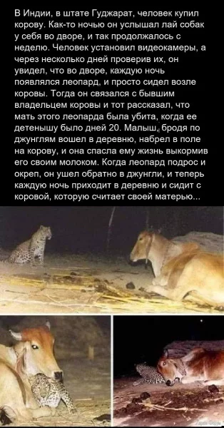 1726354271619.webp
