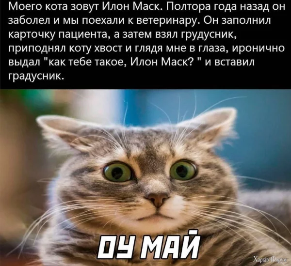1726441184521.webp