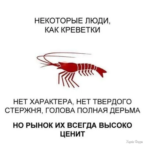 1726526177188.webp