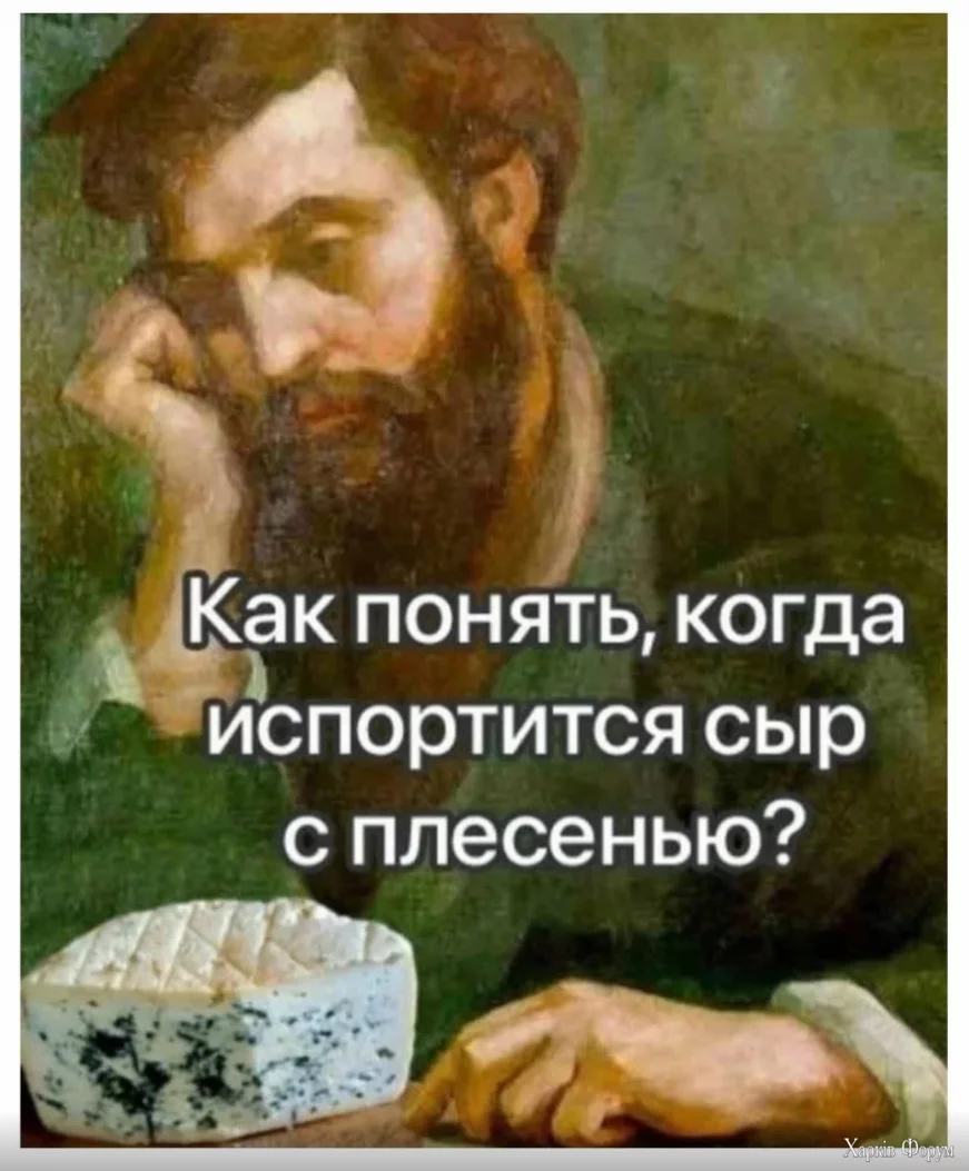 1726560226278.webp