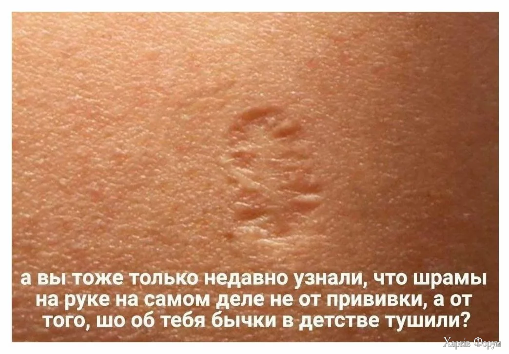 1726560251624.webp