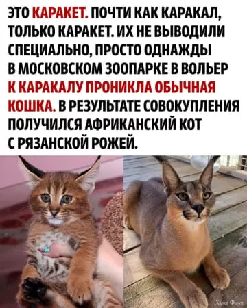 1726598683743.webp