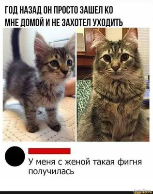 1726612345525.webp