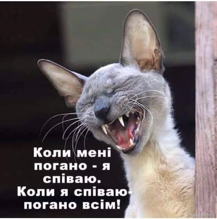 1726692201672.webp