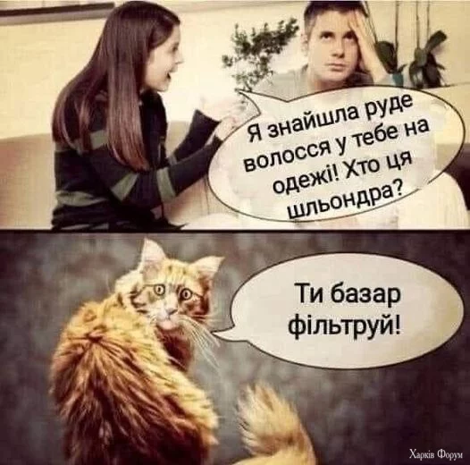 1726773756972.webp