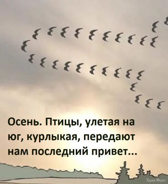 1726958649923.webp