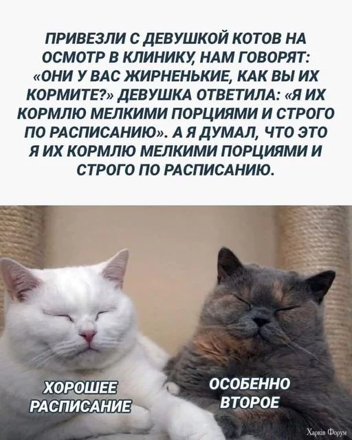 1727120931706.webp