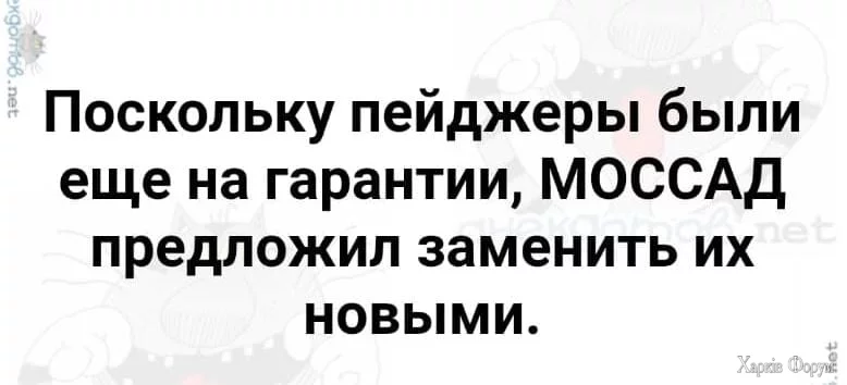 1727190505013.webp