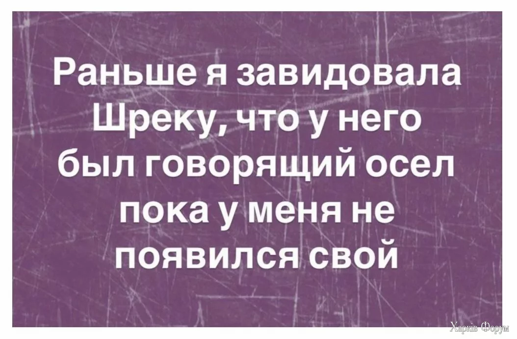 1727196674256.webp