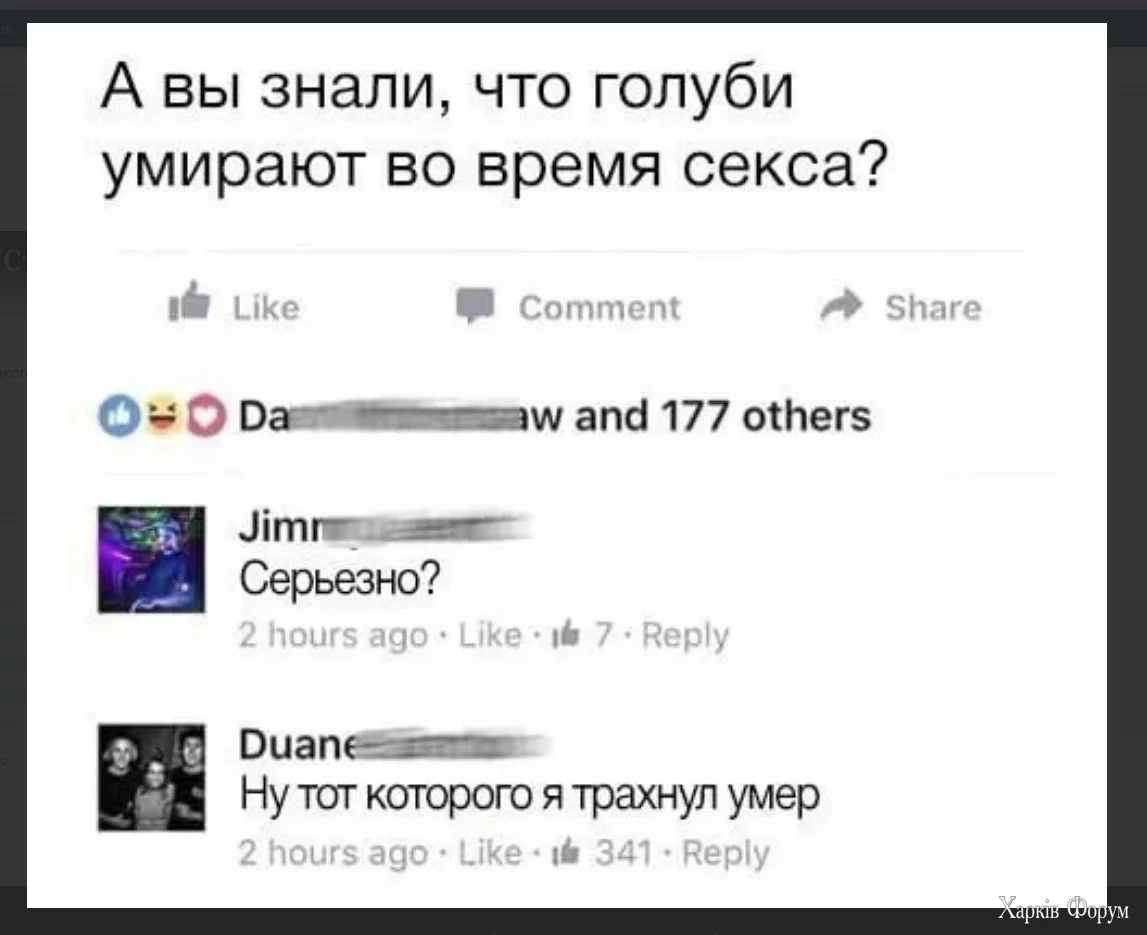 1727251354393.webp