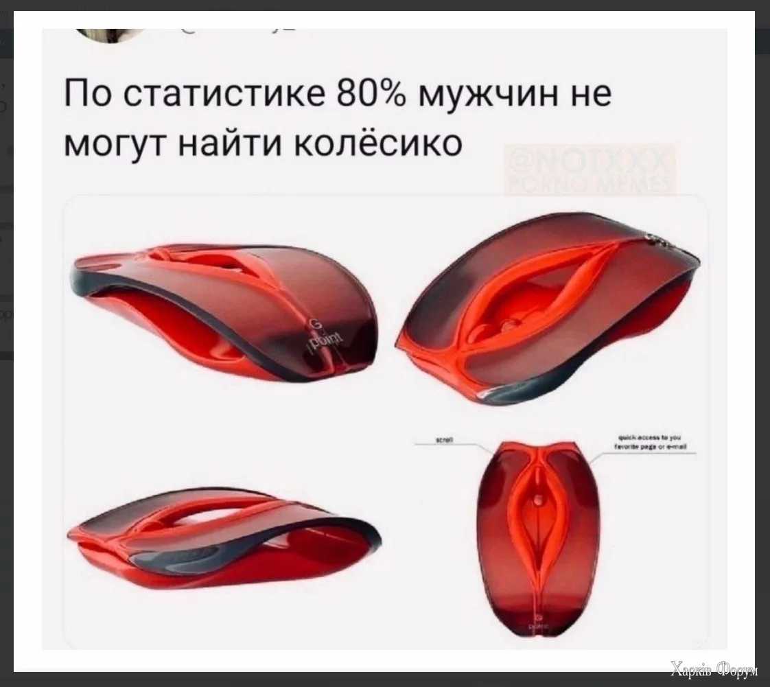 1727251376206.webp