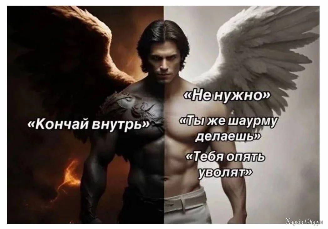 1727268522613.webp