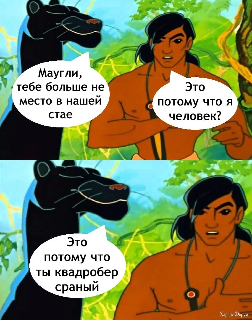 1727411914624.webp