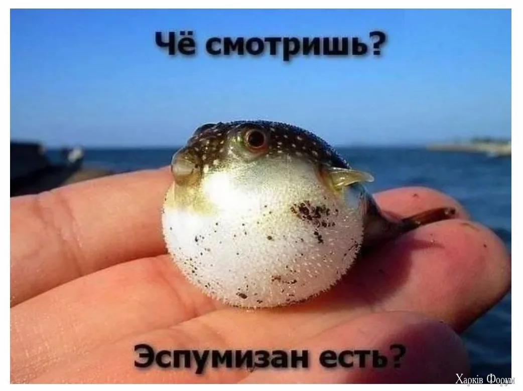 1727452232820.webp