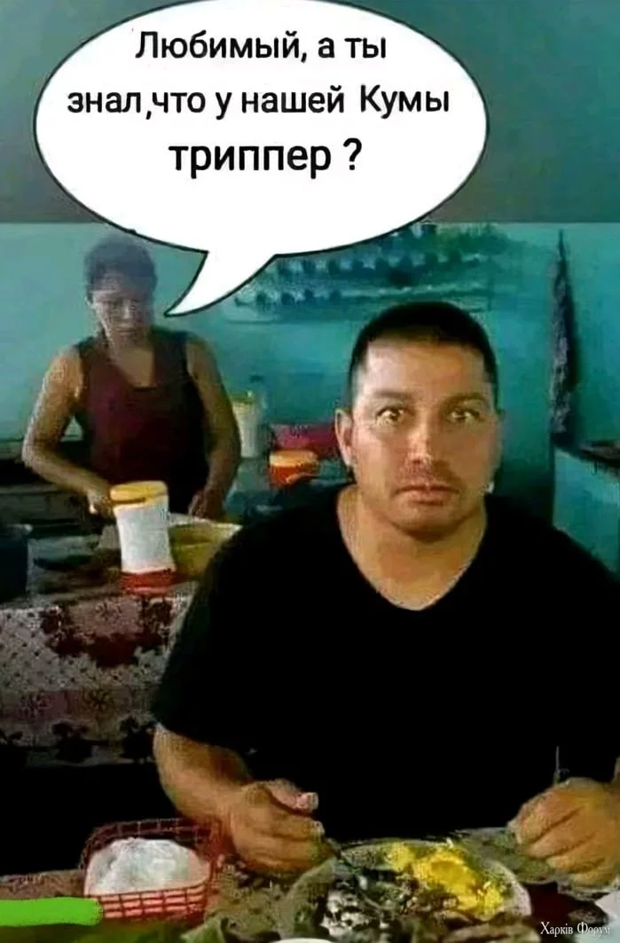 1727506081789.webp