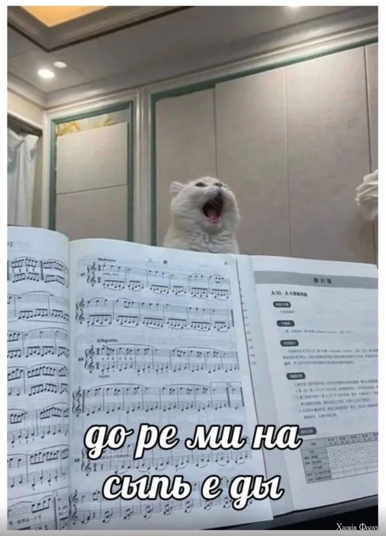 1727511515332.webp