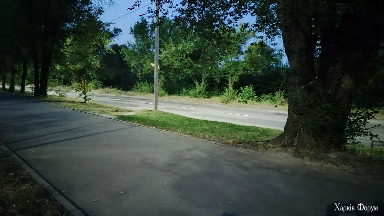 1727538044740.webp