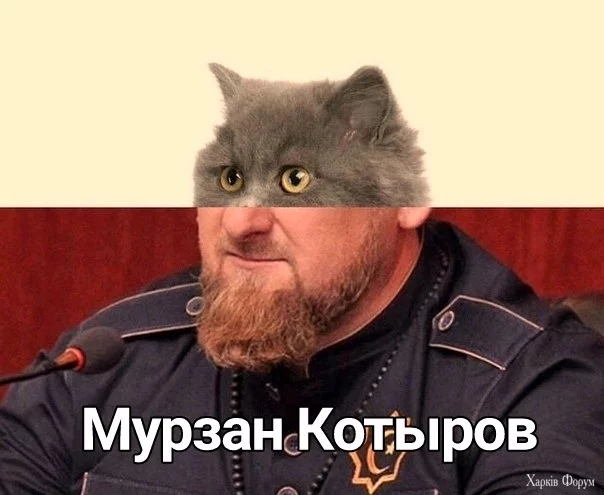 17276037028860.webp