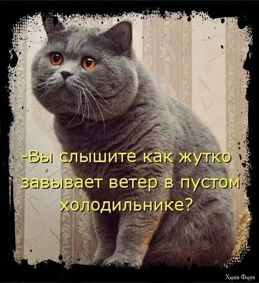 1727606016762.webp