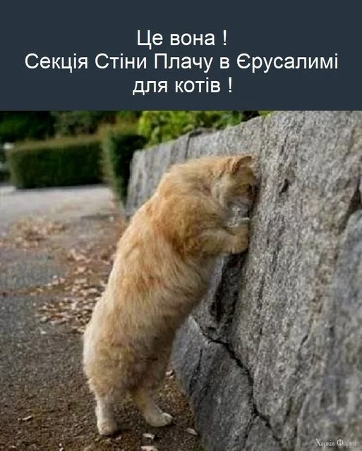 1727606027259.webp