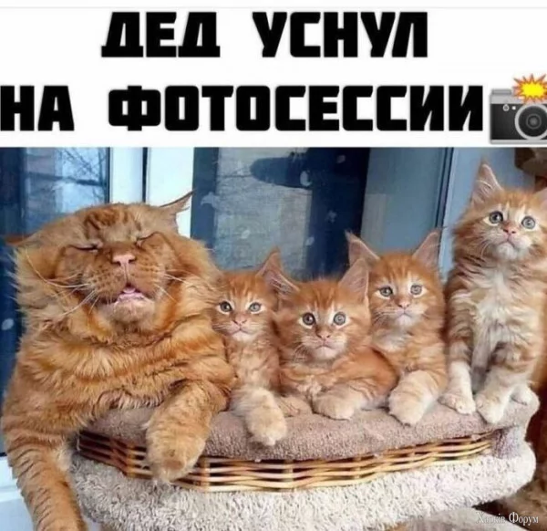 1727735219028.webp