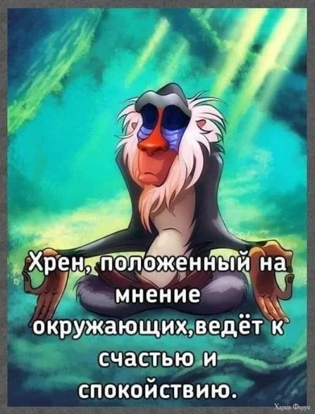 1727797212133.webp