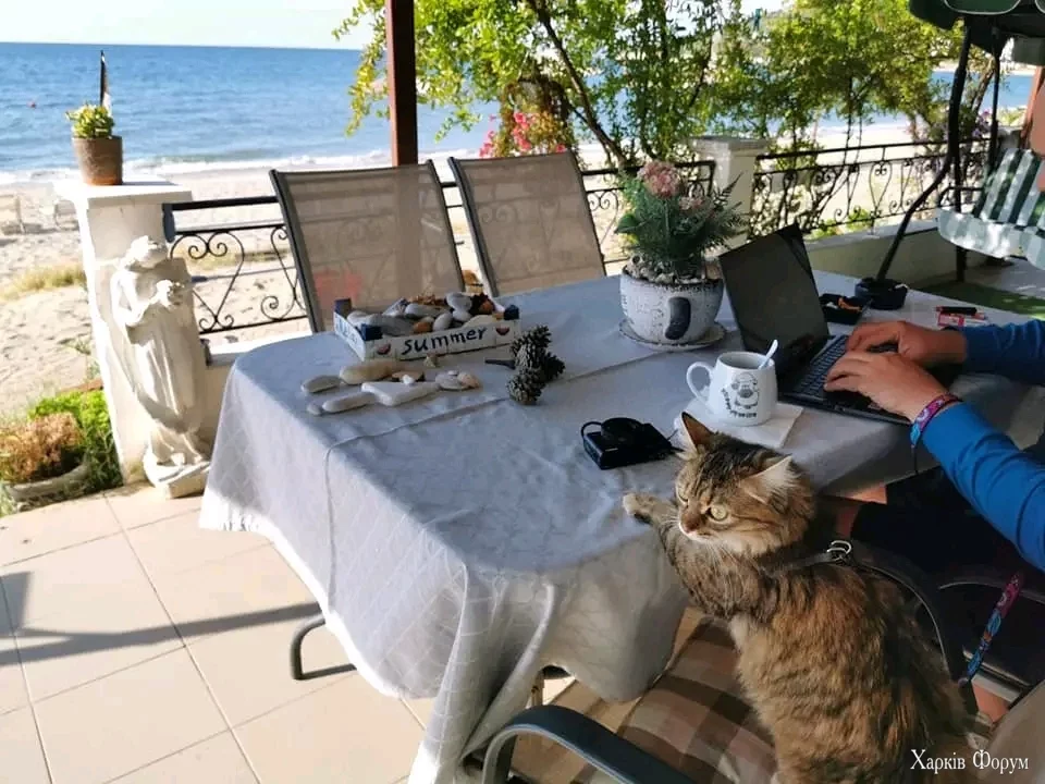 1727814465868.webp