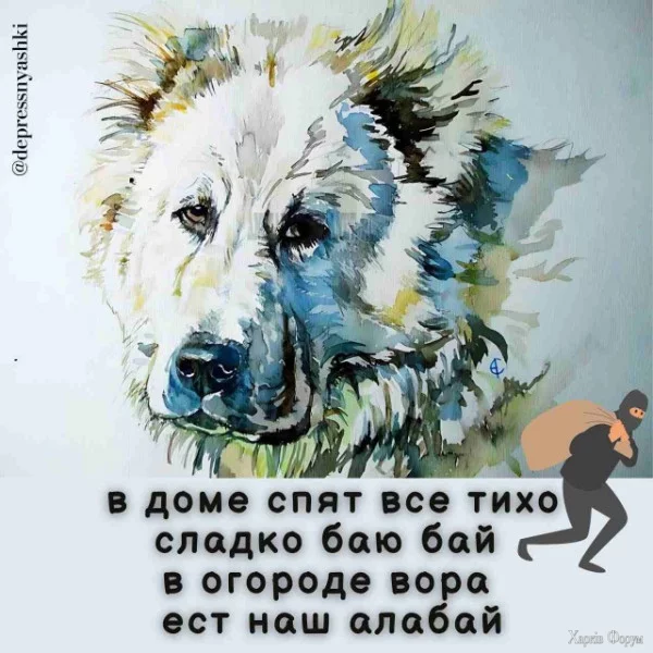 1727909854873.webp