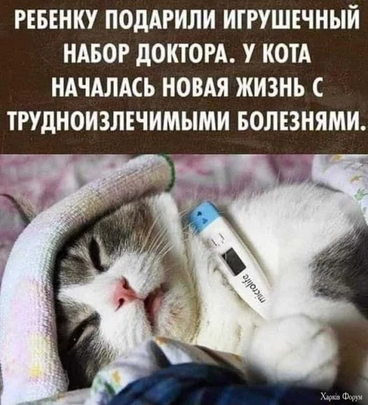 1728034870961.webp