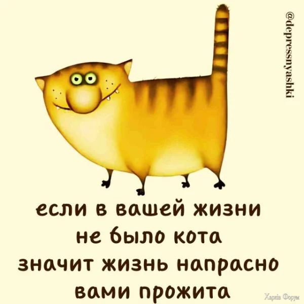 1728255599657.webp